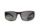 Темные очки с поляризацией BluWater Florida-1 polarized (gray) 2