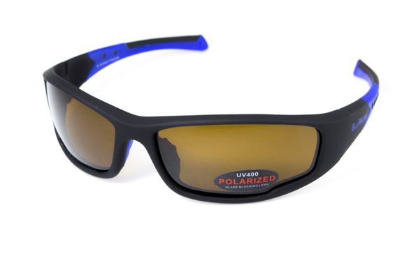 Темні окуляри з поляризацією BluWater Daytona-3 polarized (brown) в чорно синій оправі 2 купити