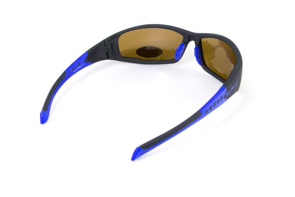 Темные очки с поляризацией BluWater Daytona-3 polarized (brown) чёрно-синяя оправа 3 купить