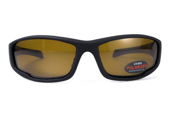Темные очки с поляризацией BluWater Daytona-3 polarized (brown) чёрно-синяя оправа 6 купить