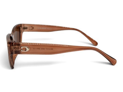 Темные очки с поляризацией Alterimage Eyewear Beachy Crystal Brown Polarized (brown) 2 купить