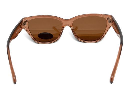 Темные очки с поляризацией Alterimage Eyewear Beachy Crystal Brown Polarized (brown) 4 купить