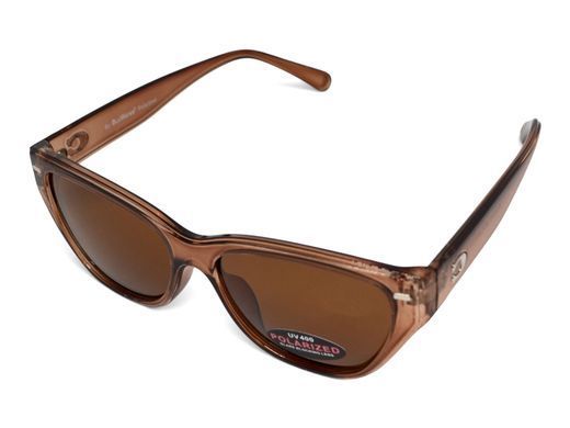 Темные очки с поляризацией Alterimage Eyewear Beachy Crystal Brown Polarized (brown) 5 купить