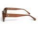 Темные очки с поляризацией Alterimage Eyewear Beachy Crystal Brown Polarized (brown) 2