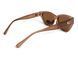 Темные очки с поляризацией Alterimage Eyewear Beachy Crystal Brown Polarized (brown) 6