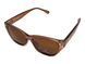 Темные очки с поляризацией Alterimage Eyewear Beachy Crystal Brown Polarized (brown) 5