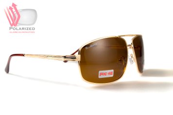 Темные очки с поляризацией BluWater Navigator (brown) (gold metal) Polarized 1 купить