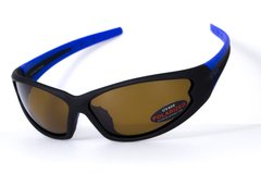 Темные очки с поляризацией BluWater Daytona-4 polarized (brown) в черно-синей оправе 1 купить