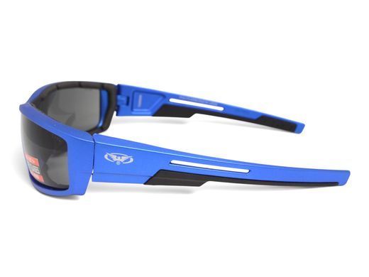 Защитные очки Global Vision Sly Blue Metallic (smoke) 6 купить