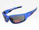 Защитные очки Global Vision Sly Blue Metallic (smoke) 1