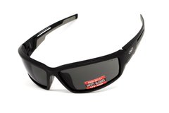 Защитные очки Global Vision Sly (gray) 1 купить