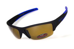 Темні окуляри з поляризацією BluWater Daytona-2 polarized (brown) в чорно-синій оправі 1 купити
