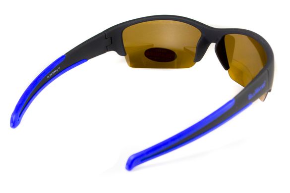 Темні окуляри з поляризацією BluWater Daytona-2 polarized (brown) в чорно-синій оправі 4 купити