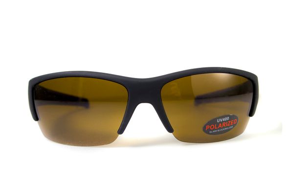 Темні окуляри з поляризацією BluWater Daytona-2 polarized (brown) в чорно-синій оправі 3 купити