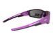 Защитные очки Global Vision Sly Purple Metallic (smoke) 4