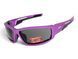 Защитные очки Global Vision Sly Purple Metallic (smoke) 1