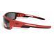 Защитные очки Global Vision Sly Purple Red (smoke) 5