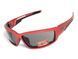 Защитные очки Global Vision Sly Purple Red (smoke) 1