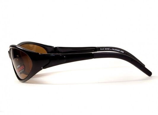 Темні окуляри з поляризацією BluWater Venice Polarized (brown) 3 купити