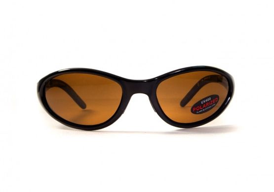 Темні окуляри з поляризацією BluWater Venice Polarized (brown) 2 купити