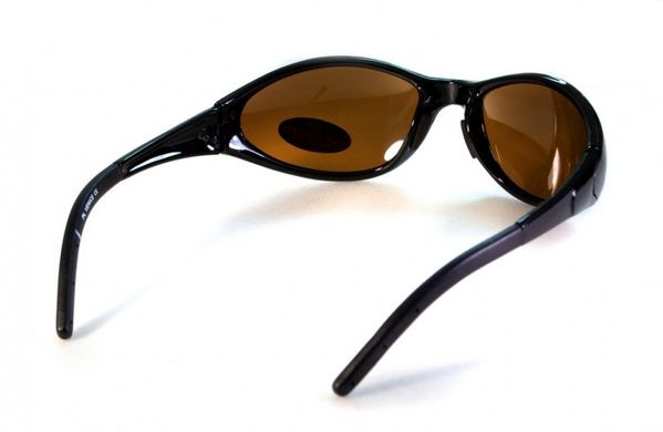 Темні окуляри з поляризацією BluWater Venice Polarized (brown) 4 купити
