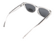 Темные очки с поляризацией Alterimage Eyewear Beachy Crystal Polarized (gray) 3