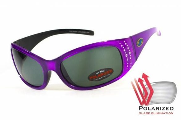 Темные очки с поляризацией BluWater Biscayene polarized (gray) (purple frame) 1 купить