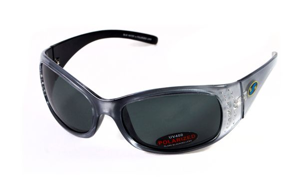 Темные очки с поляризацией BluWater Biscayene polarized (gray) (silver frame) 2 купить