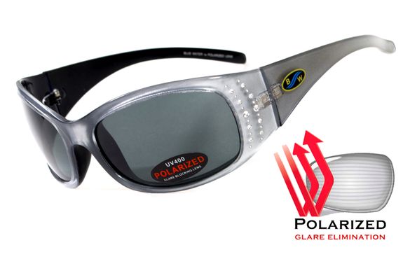Темные очки с поляризацией BluWater Biscayene polarized (gray) (silver frame) 1 купить