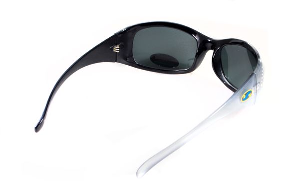 Темные очки с поляризацией BluWater Biscayene polarized (gray) (silver frame) 3 купить