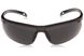 Защитные очки Pyramex Ever-Lite Anti-Fog (dark gray) (PMX) 2