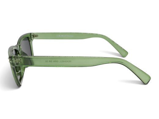 Темные очки с поляризацией Alterimage Eyewear Seashell Crystal Green Polarized (gray) 5 купить