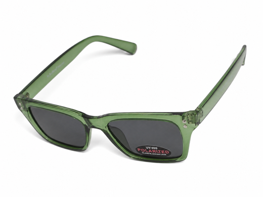 Темні окуляри з поляризацією Alterimage Eyewear Seashell Crystal Green Polarized (gray) 2 купити