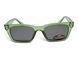 Темные очки с поляризацией Alterimage Eyewear Seashell Crystal Green Polarized (gray) 3