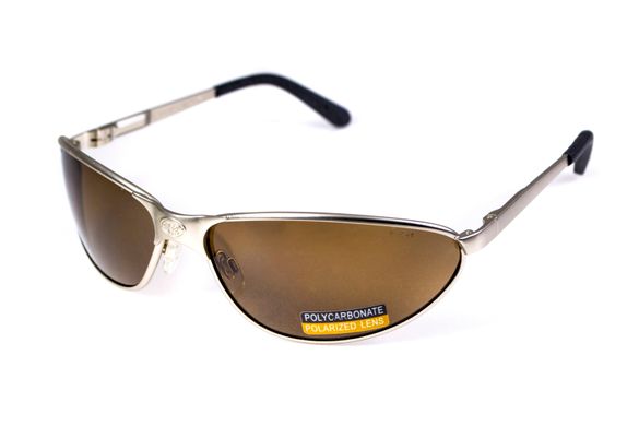Защитные очки с поляризацией Black Rhino i-Beamz Polarized Safety (brown) 9 купить